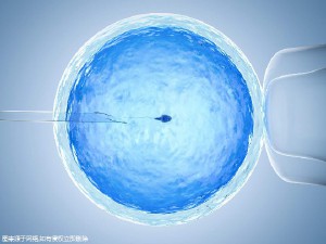 林主任